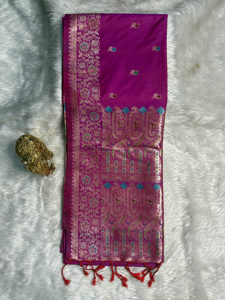 Meena Takshashila D301
