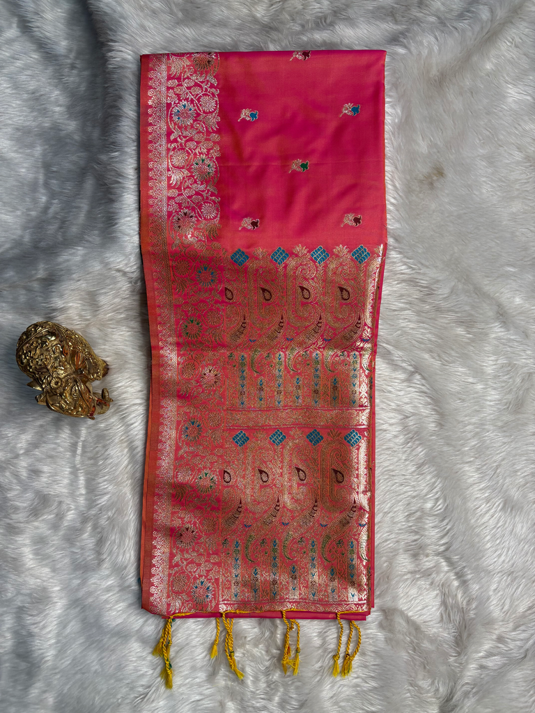 Meena Takshashila D303