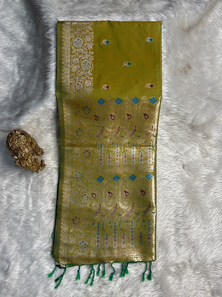 Meena Takshashila D305